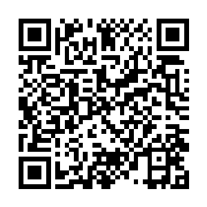 阿德莱斯商团向来都是恩怨分明有仇报仇有恩报恩的二维码生成