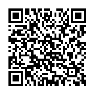 阿德莱斯商团能不能帮他们报仇那是以后的事情二维码生成