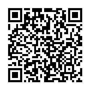 阿情你要保护我~可怜~可怜~准备去微博晒书召唤阿情~哈哈二维码生成