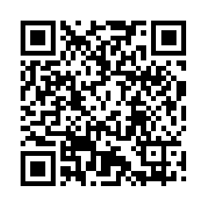 阿情和众位美人们~我带你萌去嫖美男子~二维码生成