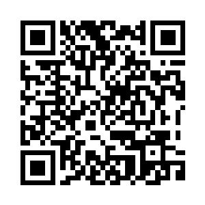 阿拉丁在这个行业里面没人敢得罪二维码生成