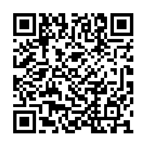 阿拉贡和诺诺有些焦虑不安地看着木桶里的马文二维码生成