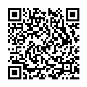 阿拉贡将赵纯良的手推开 然后默默的走进了房间二维码生成