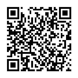 阿拉贡王子已经被罢黜了……国王陛下也已经表态……二维码生成