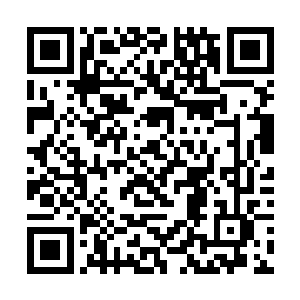 阿斯兰各大行星各个城市的主要军校全部有全息直播二维码生成