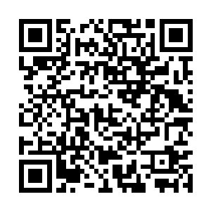 阿斯兰皇室以及国家主要势力都有一套审定的方式二维码生成