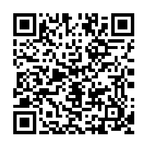 阿斯特拉艾亚学院和斯摩格圣学院此次派出的阵容均实力超强二维码生成