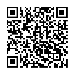 阿比安大师就被一群咆哮的血色猛虎撕成了碎片……二维码生成