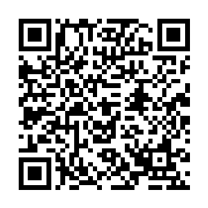 阿比斯·冯和红莲开始对十圈加速环进行引力列阵固定调试二维码生成