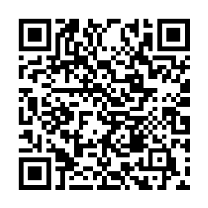 阿沙怎么也不相信这个天真可爱的小伙伴已经死去二维码生成