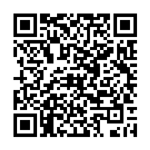 阿狸自然毫不客气的将他们的天材地宝一口口吞了二维码生成