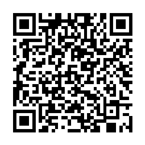 阿竹的舅舅柳城终于带着次子柳昊夫妻一起回京了二维码生成