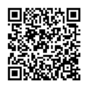 阿米跟着苏凡的关系比起紫龙这些人的关系不差二维码生成