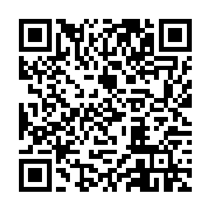 阿米还有卡奴基斯看着苏凡不仅将射手圣骑给反击了二维码生成