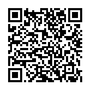 阿米还有卡奴基斯紧随其后的朝着苏凡冲了过去二维码生成