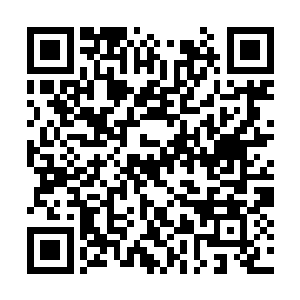 阿米还有卡奴基斯顿时就朝着那些小混混迎了上去二维码生成