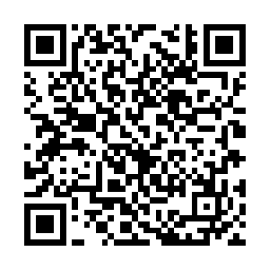 阿虎他们昨晚将陈露萍的黑色轿车撞到闽江当中后二维码生成