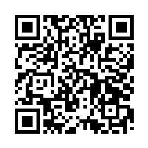 阿财身上顶着根刚抽出绿箭的小荷叶二维码生成