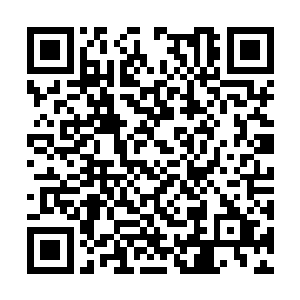 阿达曼给张东城送来了一个让他兴奋不已的好消息二维码生成