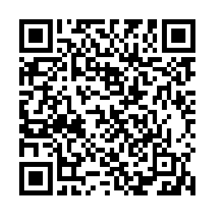 阿青挑挑捡捡的把自己和小山回来时说的话告诉李思谌二维码生成