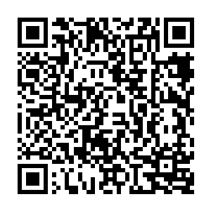 阿黄原本还在一边同苏澈说话一边往自己的嘴里丢能够补灵气的灵药丸子吃二维码生成