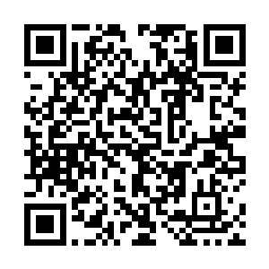 阿黄着急忙慌地跟着来报信的小童从石室的内道里走了二维码生成