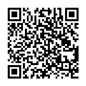 阿齐兹三个人已经推着被他俘虏的那几个魔族骑士出来了……二维码生成