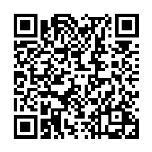 附带的一个条件就是要让朱雀寄一缕神念在其身上二维码生成