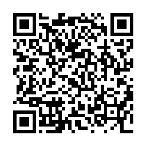 附近一颗椰树上的一个椰子一下子就从自己从树上掉了下来二维码生成