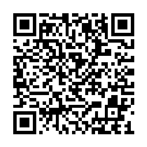 附近的人道租院子的人早在五天前就已经离开了二维码生成