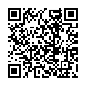 附近的巷子里钻出一个穿着蓑衣的十多岁的小男孩二维码生成