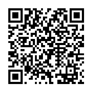 附近的那座山上如同篦篦子一般密密麻麻地篦了好几遍二维码生成
