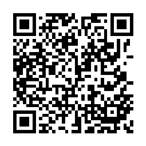 陆丞燕只是说了一句有牛头不对马嘴嫌疑的言语二维码生成