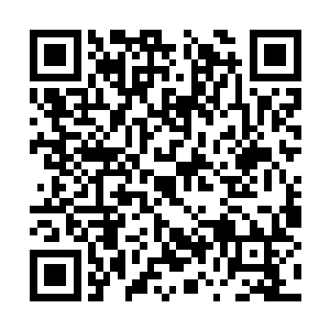 陆为民一句话就让嗅客室里的温度至少下降了十度二维码生成