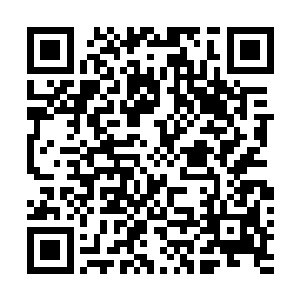 陆为民一番调侃耍赖的话语又把在场的人都给逗得笑起来二维码生成