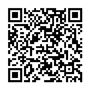 陆为民一番颇有水平的话是说得在场的人眉开眼笑二维码生成