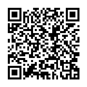 陆为民一直这样认为专业的事情就得要由专业从业者来做二维码生成