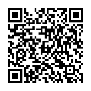 陆为民不太相信以张海鹏的水准能够追到眼前这个女子二维码生成