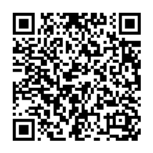 陆为民不辞辛苦去带着调查人员去广平县把张生云找到为自己作证二维码生成