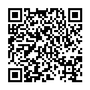 陆为民也不知道究竞是自己动用了这么多资源所取得的成绩二维码生成