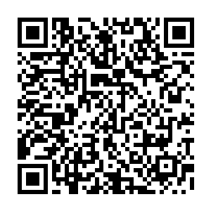 陆为民也就指示原来闻一舟担任组织部长期间启动的一些人事考察可以延续二维码生成