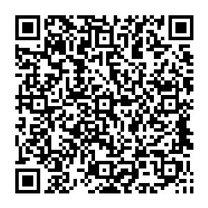 陆为民也是陪岳霜婷一起来这里和王竟与另一位从京城飞过来已经见过一面的邢国涛共同商议案件情况二维码生成