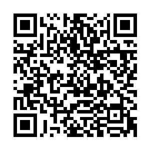 陆为民也知道他上任以来花了不少心思在江洲古镇开发的推进上二维码生成