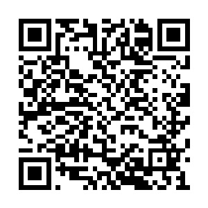 陆为民也知道这也算是身子列对自己的一次考试二维码生成