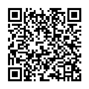 陆为民也知道雷达的关系绝对不仅仅只局限于丰州这边二维码生成