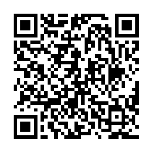 陆为民也自认为自己在与对方的接触当中留下的印象不错二维码生成