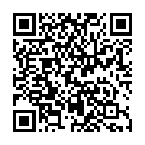 陆为民也觉得自己这番话有点儿是给自己打气的意思在里边二维码生成