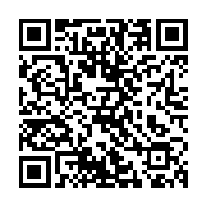 陆为民也需要这样一个二人世界来调剂一下自己忙碌一年的身心二维码生成