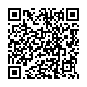 陆为民估计韩三童和江大川两人都极有可能会在二维码生成