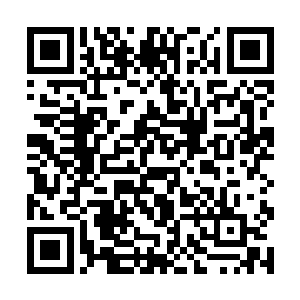 陆为民半开玩笑的一句话让气氛顿时轻松活泼了不少二维码生成